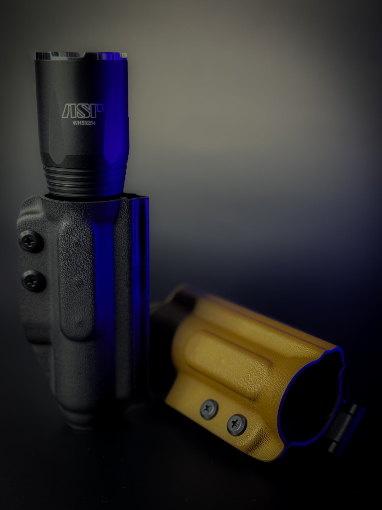 ASP RAPTOR Carrier